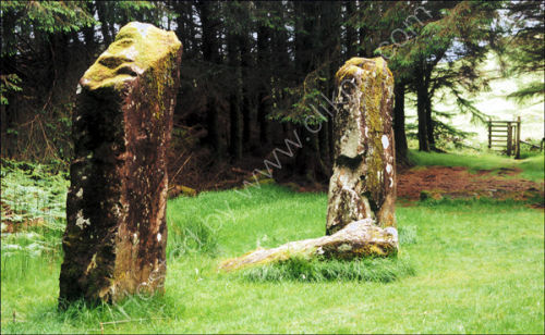 Standing Stones,
Dervaig, Mull.